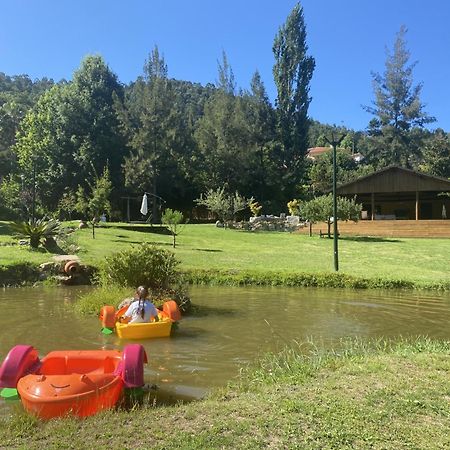 Quinta Da Vinha Do Souto Βίλα Αρούκα Εξωτερικό φωτογραφία