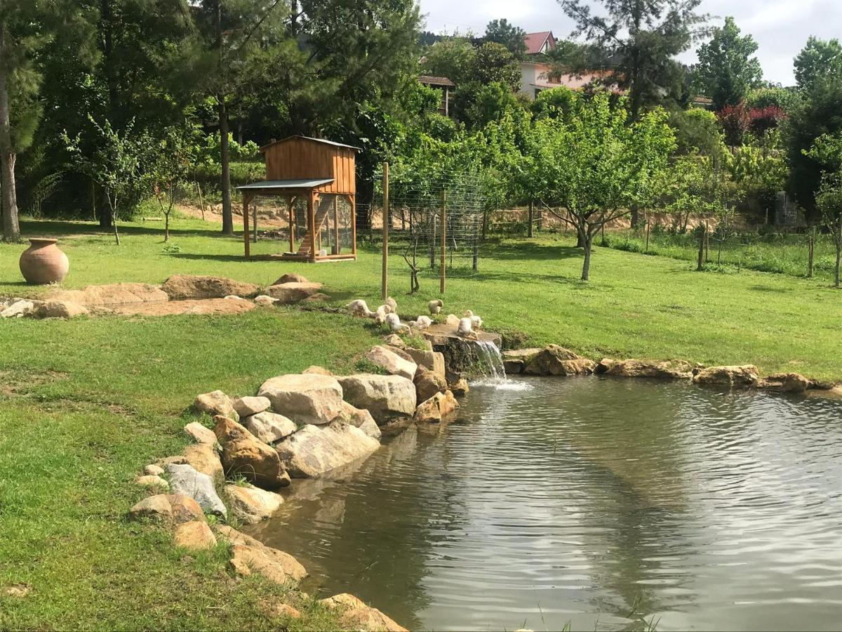 Quinta Da Vinha Do Souto Βίλα Αρούκα Εξωτερικό φωτογραφία