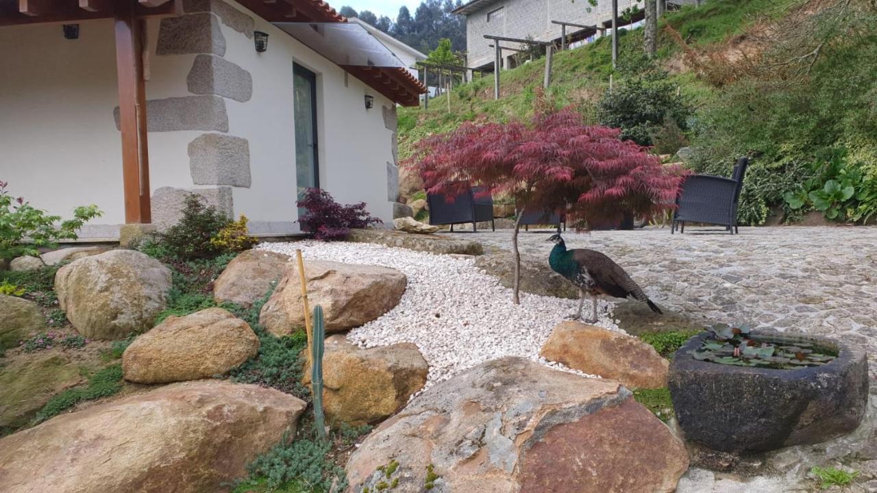Quinta Da Vinha Do Souto Βίλα Αρούκα Εξωτερικό φωτογραφία