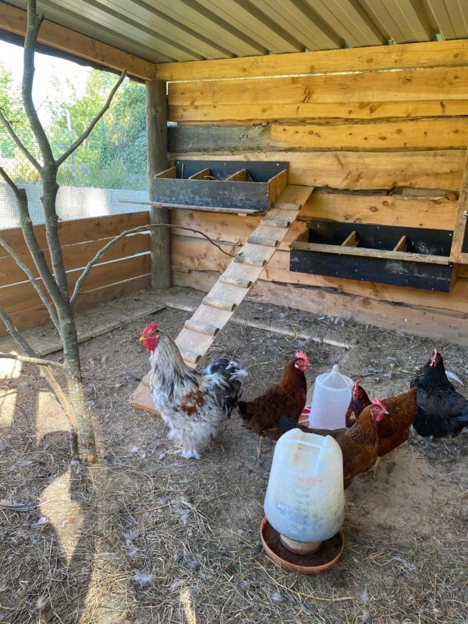 Quinta Da Vinha Do Souto Βίλα Αρούκα Εξωτερικό φωτογραφία
