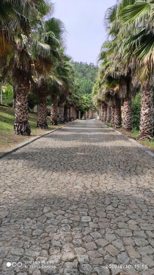 Quinta Da Vinha Do Souto Βίλα Αρούκα Εξωτερικό φωτογραφία