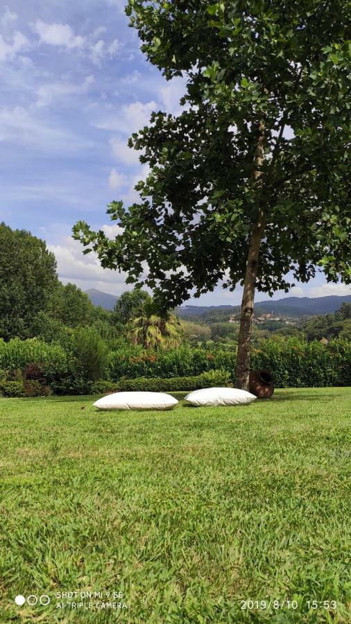 Quinta Da Vinha Do Souto Βίλα Αρούκα Εξωτερικό φωτογραφία